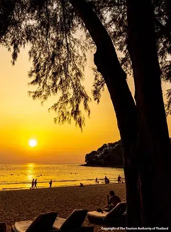Palm-lined Kamala Beach with soft sand and calm Andaman Sea water in Phuket Thailand