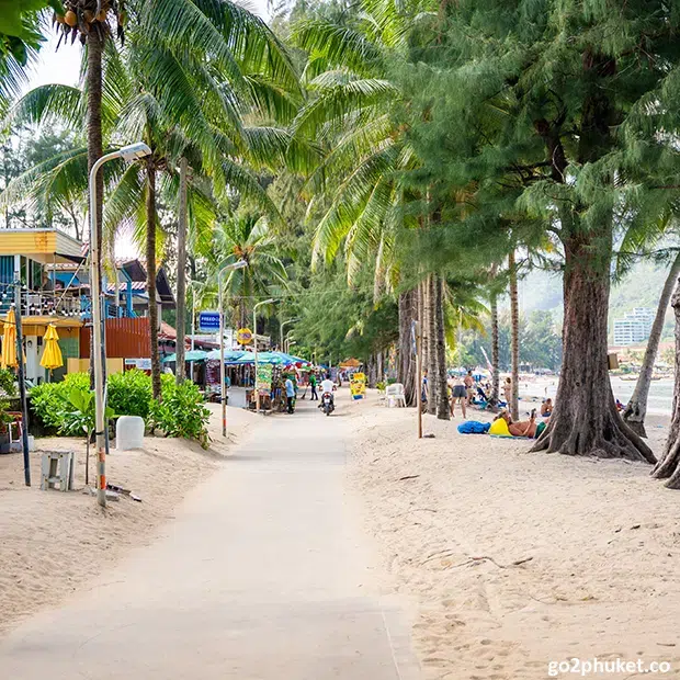 Palm-lined coastal road Kamala Beach with tropical trees and seaside atmosphere in Phuket Thailand