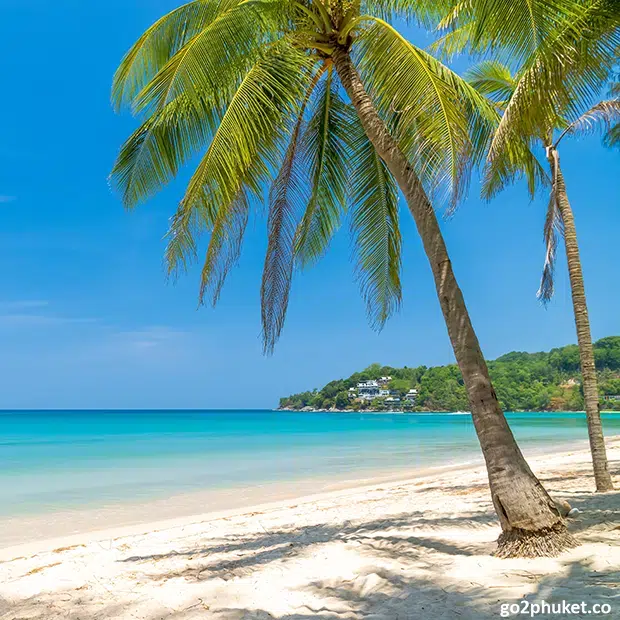 Tall coconut palm trees lining the sandy shoreline at Kamala Beach on Phuket Island, Thailand.