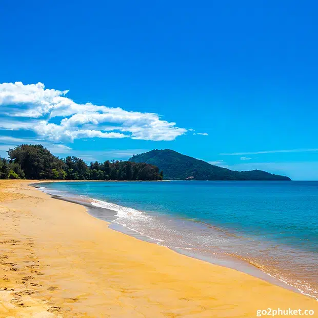 Vegetated sand dunes and natural coastal plants behind Mai Khao Beach shoreline on Phuket Island, Thailand