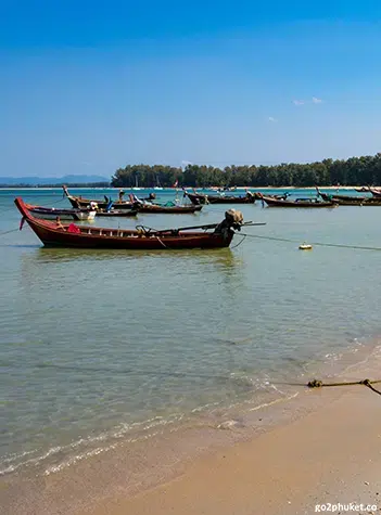 Palm-lined Nai Yang Beach shoreline with gentle waves and sandy coast in Phuket, Thailand