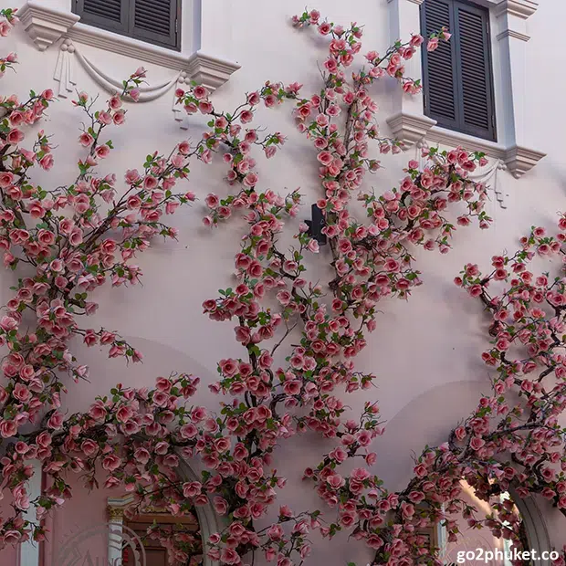Red roses decorating a colorful restaurant wall along a historic street in Phuket Old Town Thailand.