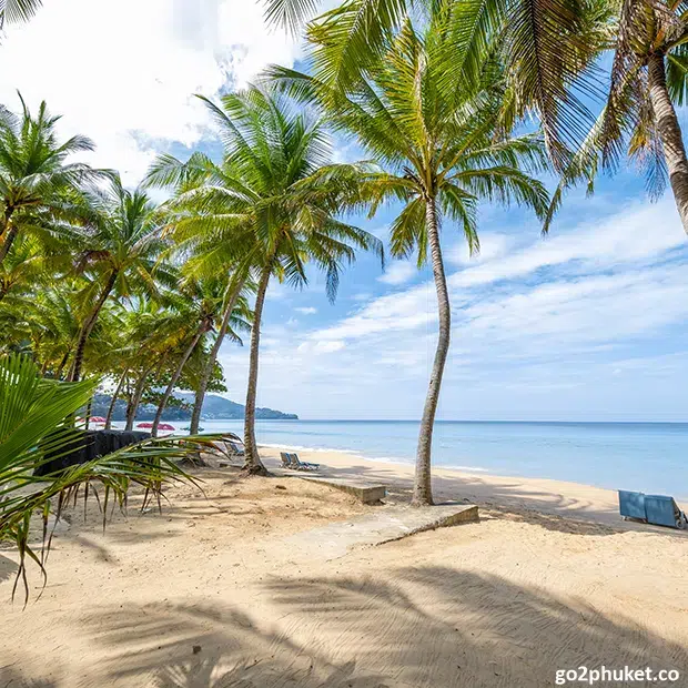 Tall palm trees lining Surin Beach with turquoise Andaman Sea and sandy shoreline in Phuket, Thailand
